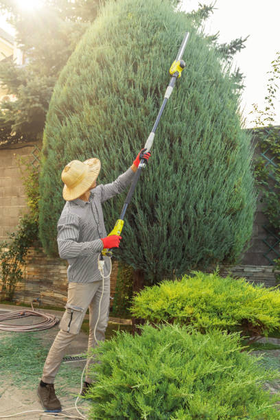 Best Lawn Pest Prevention  in Pine Bush, NY